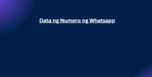 Data ng Numero ng Whatsapp